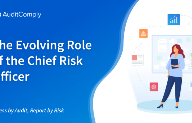 The Evolving Role of The Chief Risk Officer
