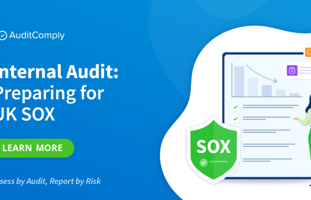 Internal Audit: Preparing for UK SOX